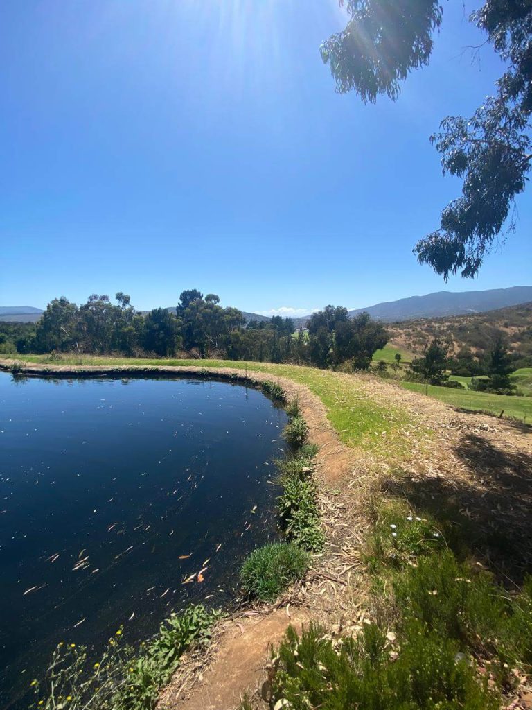 Nanoburbujas en áreas recreativas