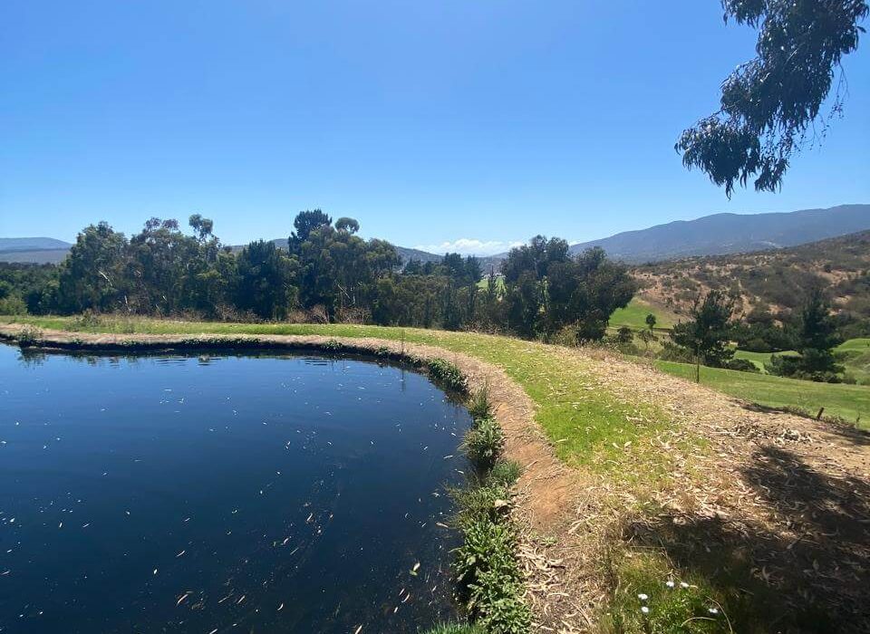 Nanoburbujas en áreas recreativas