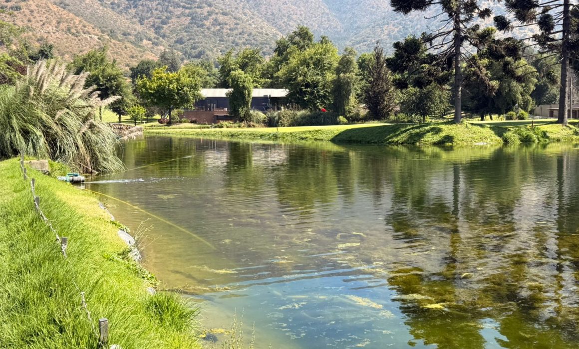 tratamiento de agua con nanoburbujas