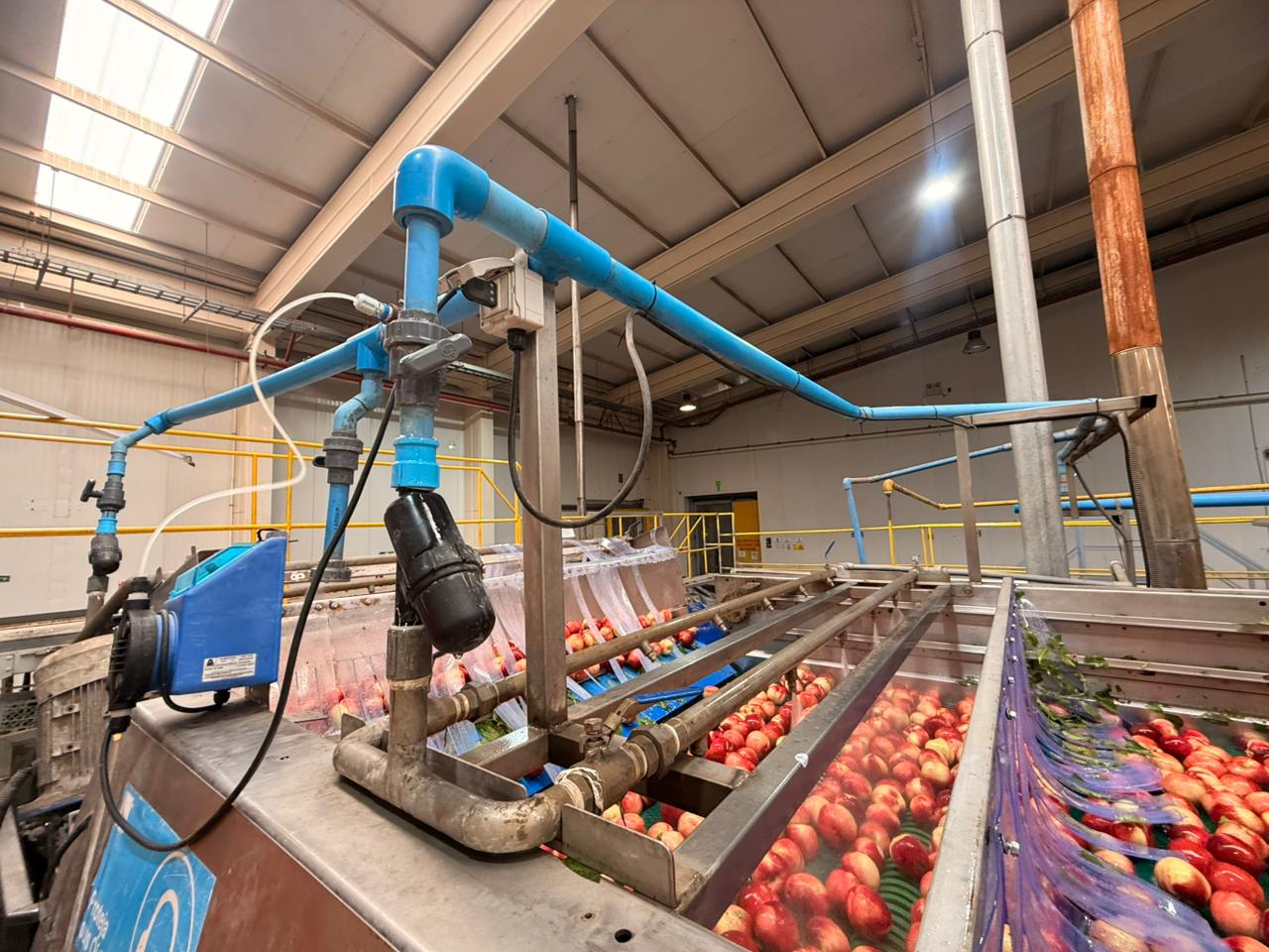 Aplicación de agua tratada sobre fruta en línea de proceso, tecnología Kapicua
