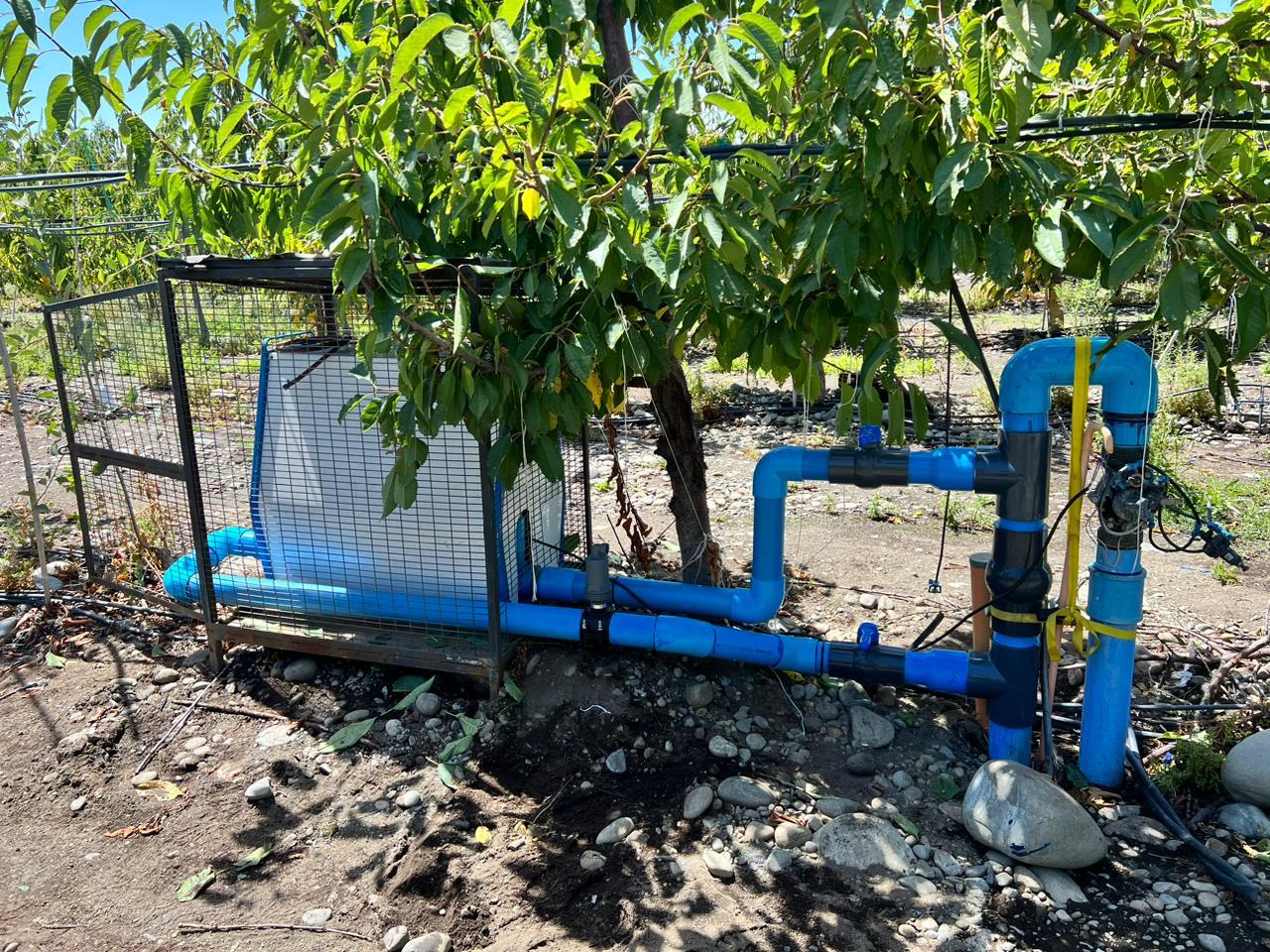 Sistema de riego tecnificado en huerto, piping conectado a tecnología Kapicua