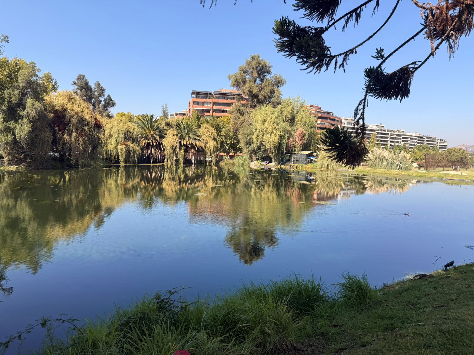 Laguna del Club de Polo en Lo Recabarren, caso de éxito Kapicua en control de algas